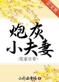 小炮灰什么意思